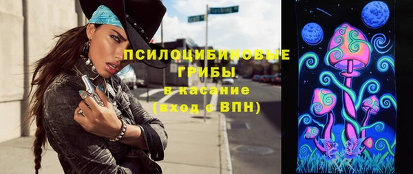 кристаллы Гусь-Хрустальный